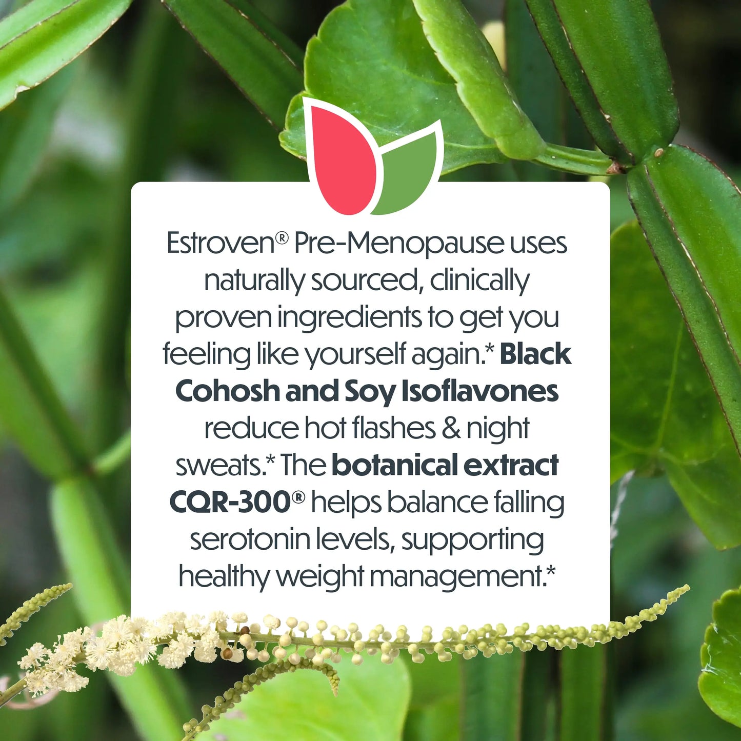 Estroven® Menopause Relief Pre-Menopause